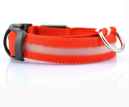 Safety Dog LED Collar